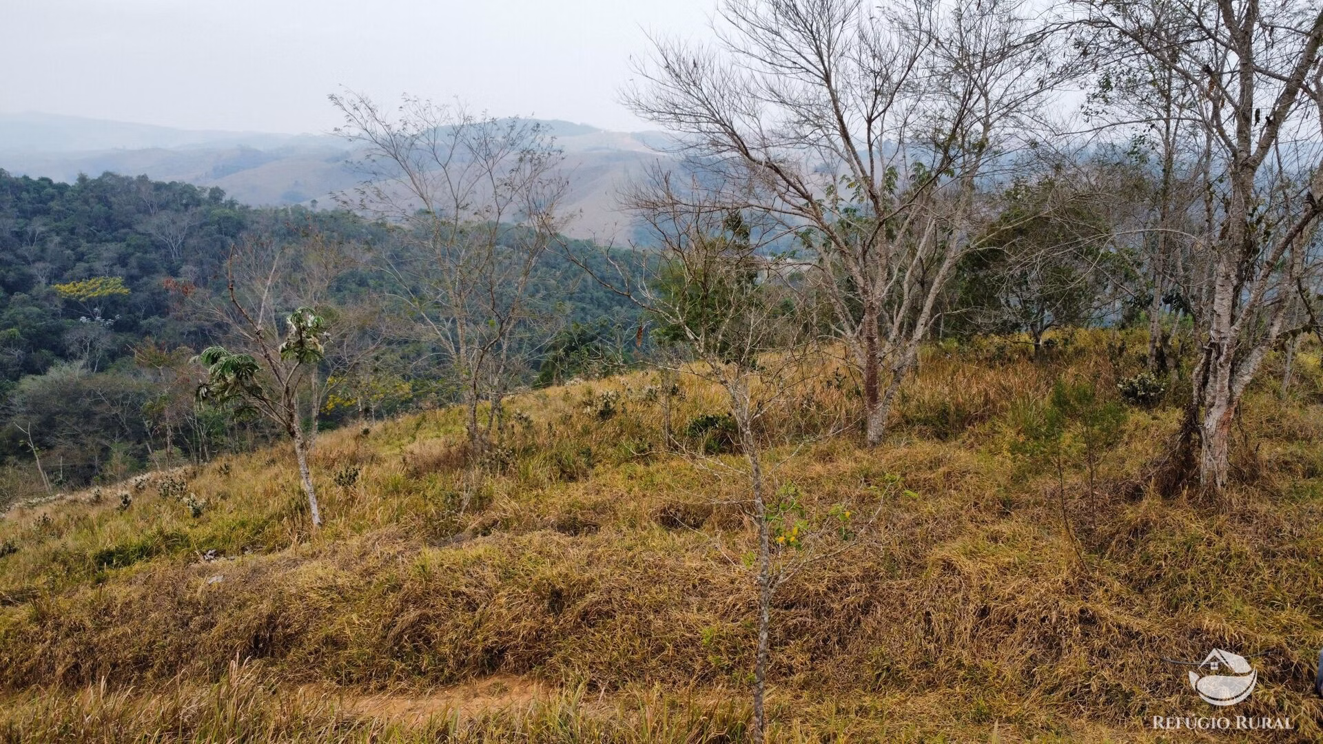 Small farm of 59 acres in São José dos Campos, SP, Brazil