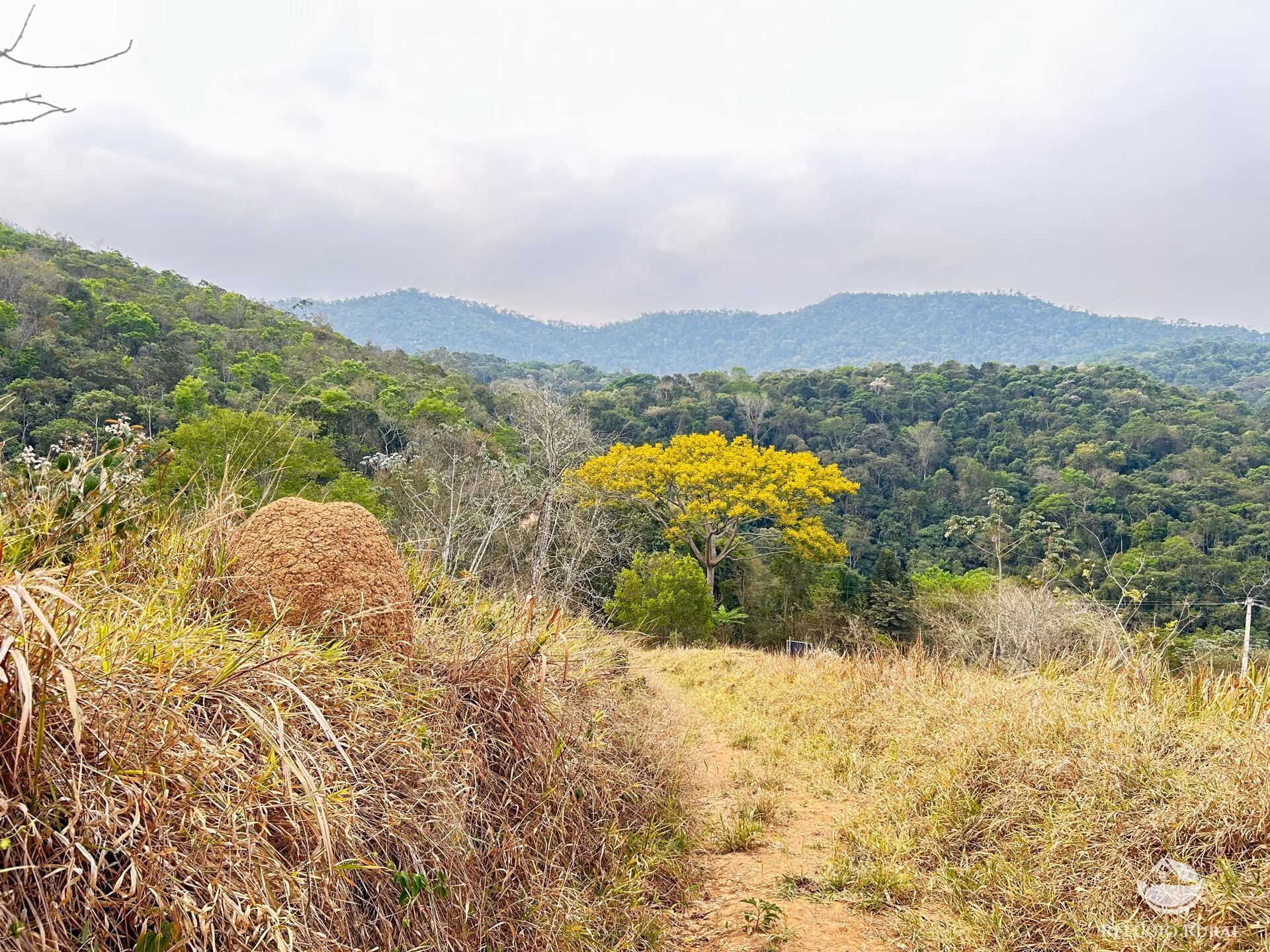Small farm of 59 acres in São José dos Campos, SP, Brazil