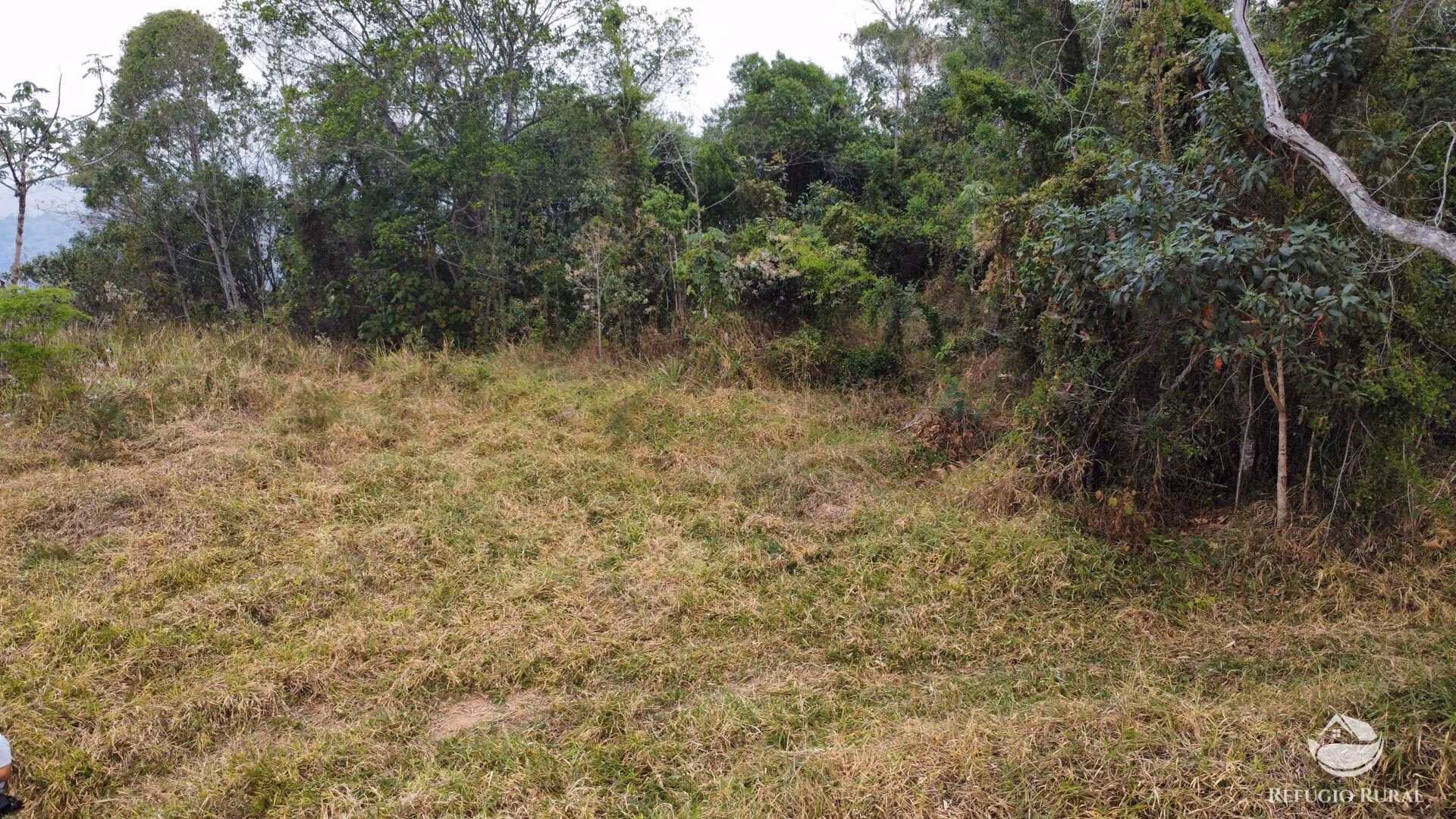 Small farm of 59 acres in São José dos Campos, SP, Brazil