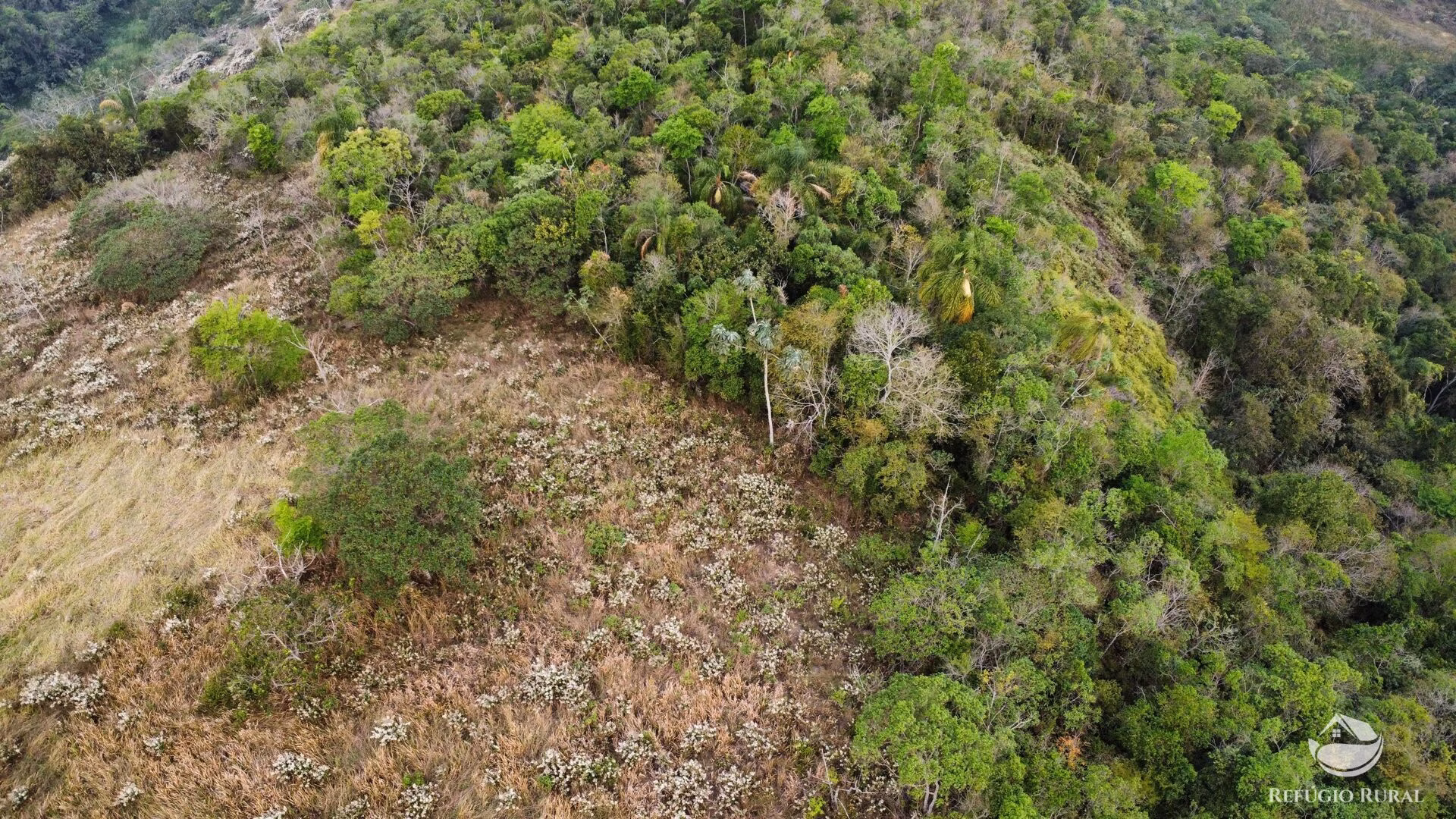 Sítio de 24 ha em São José dos Campos, SP