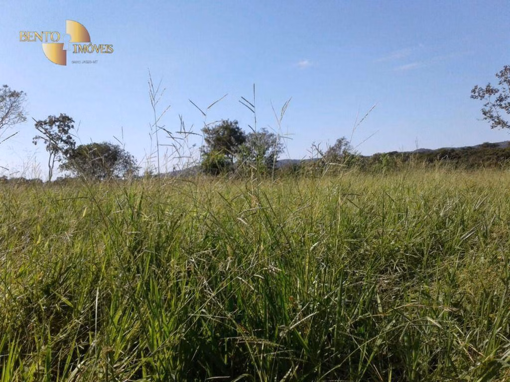 Farm of 371 acres in Rosário Oeste, MT, Brazil