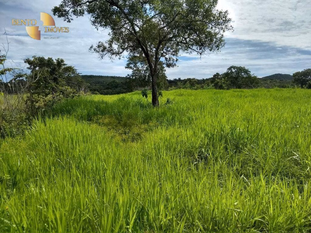 Farm of 371 acres in Rosário Oeste, MT, Brazil