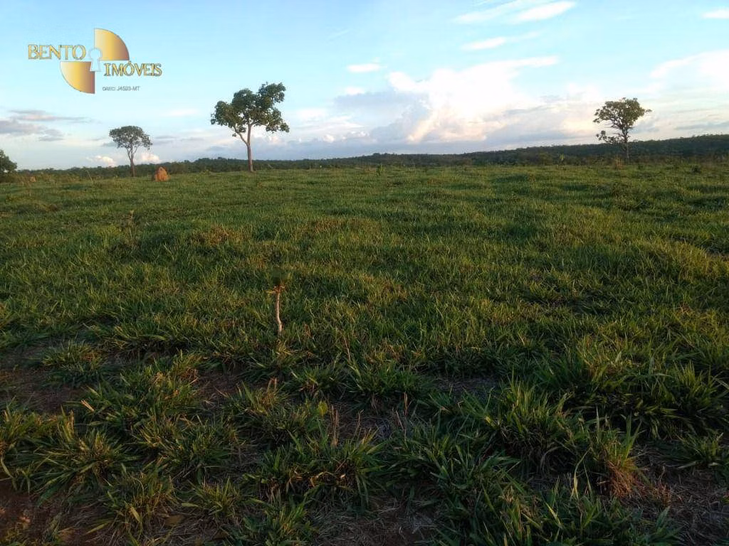 Fazenda de 1.294 ha em Itiquira, MT