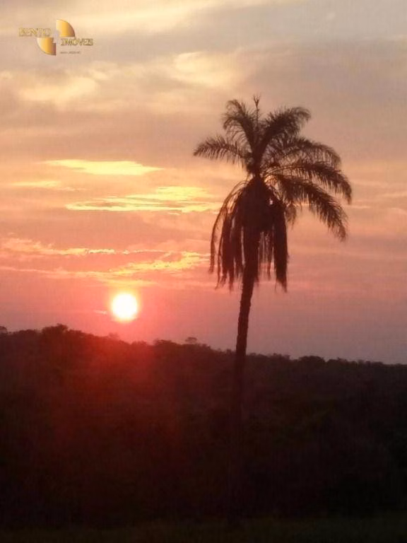 Fazenda de 1.294 ha em Itiquira, MT