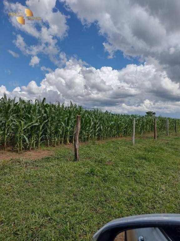 Fazenda de 1.294 ha em Itiquira, MT