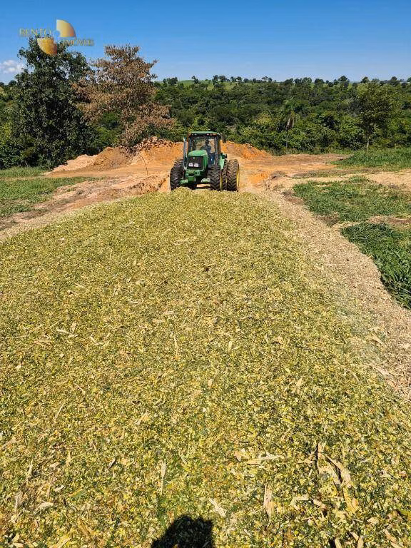 Fazenda de 1.294 ha em Itiquira, MT