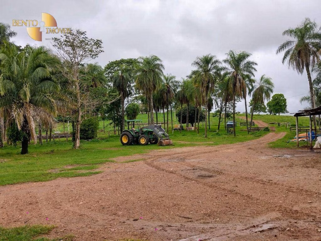 Fazenda de 1.294 ha em Itiquira, MT
