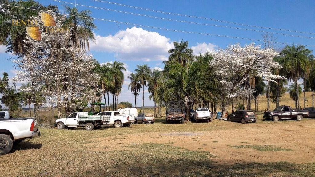 Fazenda de 1.294 ha em Itiquira, MT