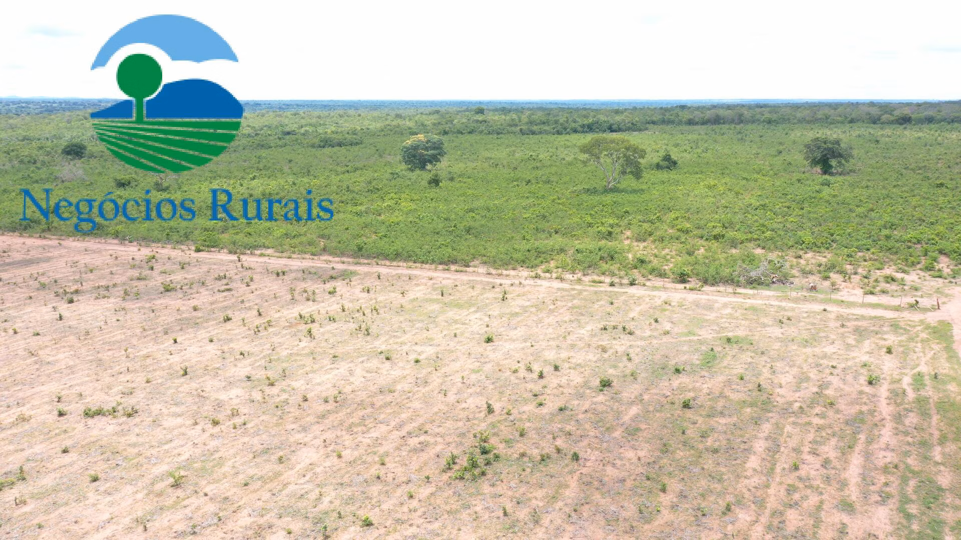 Farm of 1,554 acres in Jaú do Tocantins, TO, Brazil
