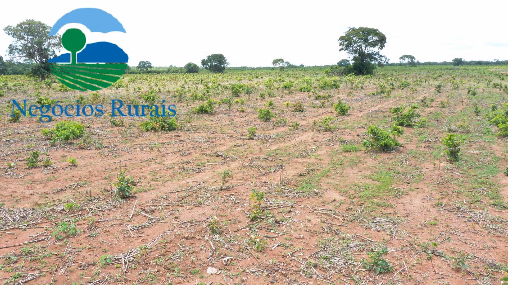 Farm of 1,554 acres in Jaú do Tocantins, TO, Brazil