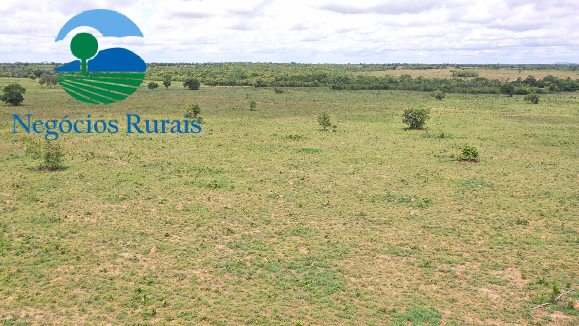Farm of 1,554 acres in Jaú do Tocantins, TO, Brazil