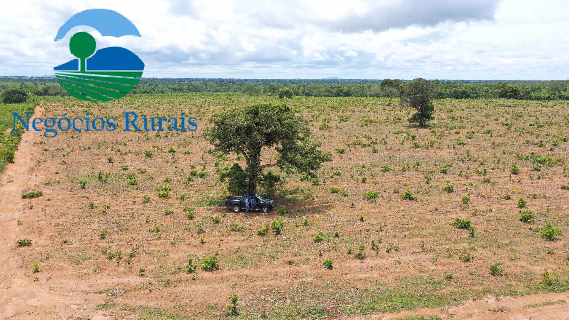 Farm of 1,554 acres in Jaú do Tocantins, TO, Brazil