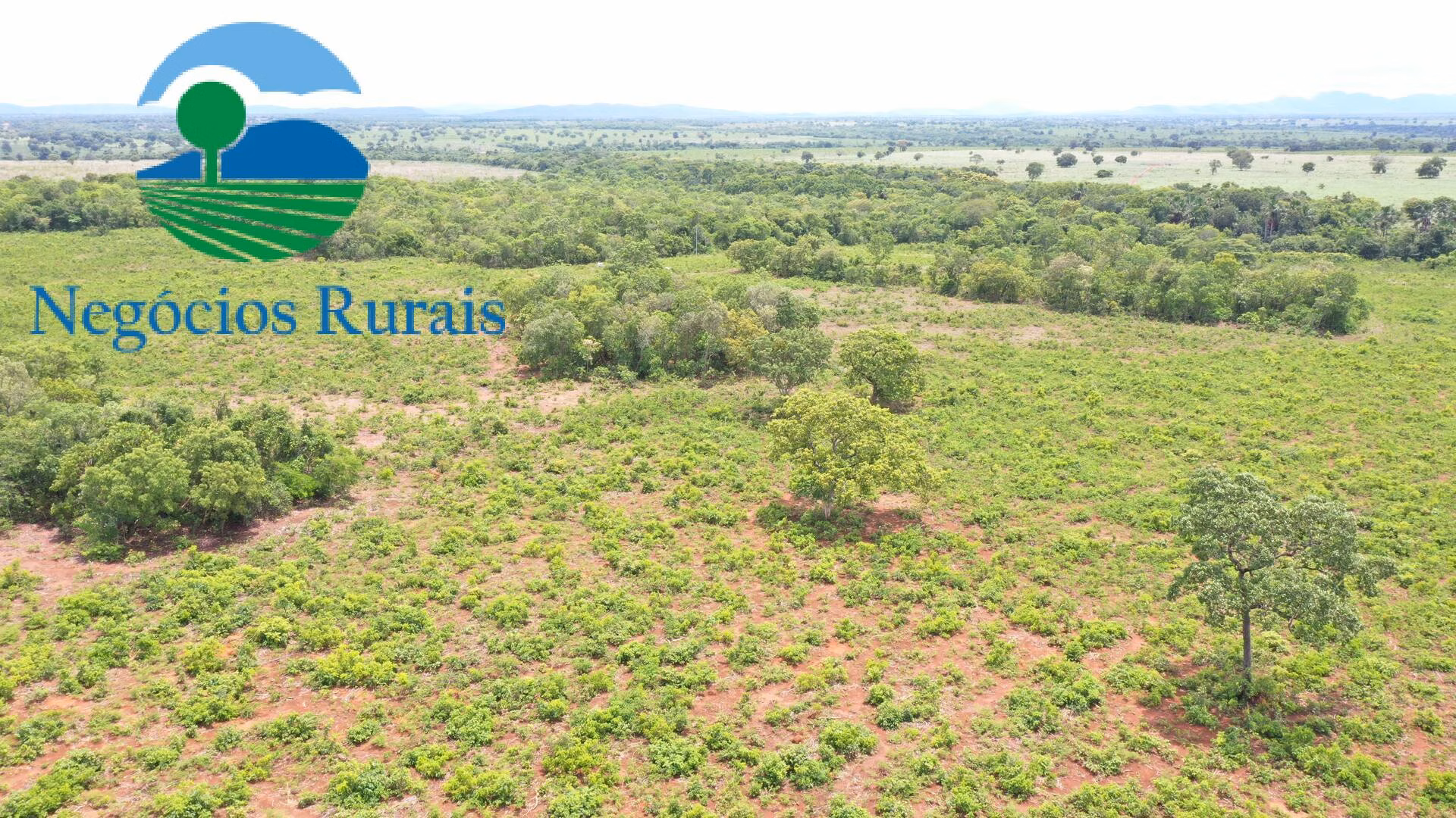 Farm of 1,554 acres in Jaú do Tocantins, TO, Brazil