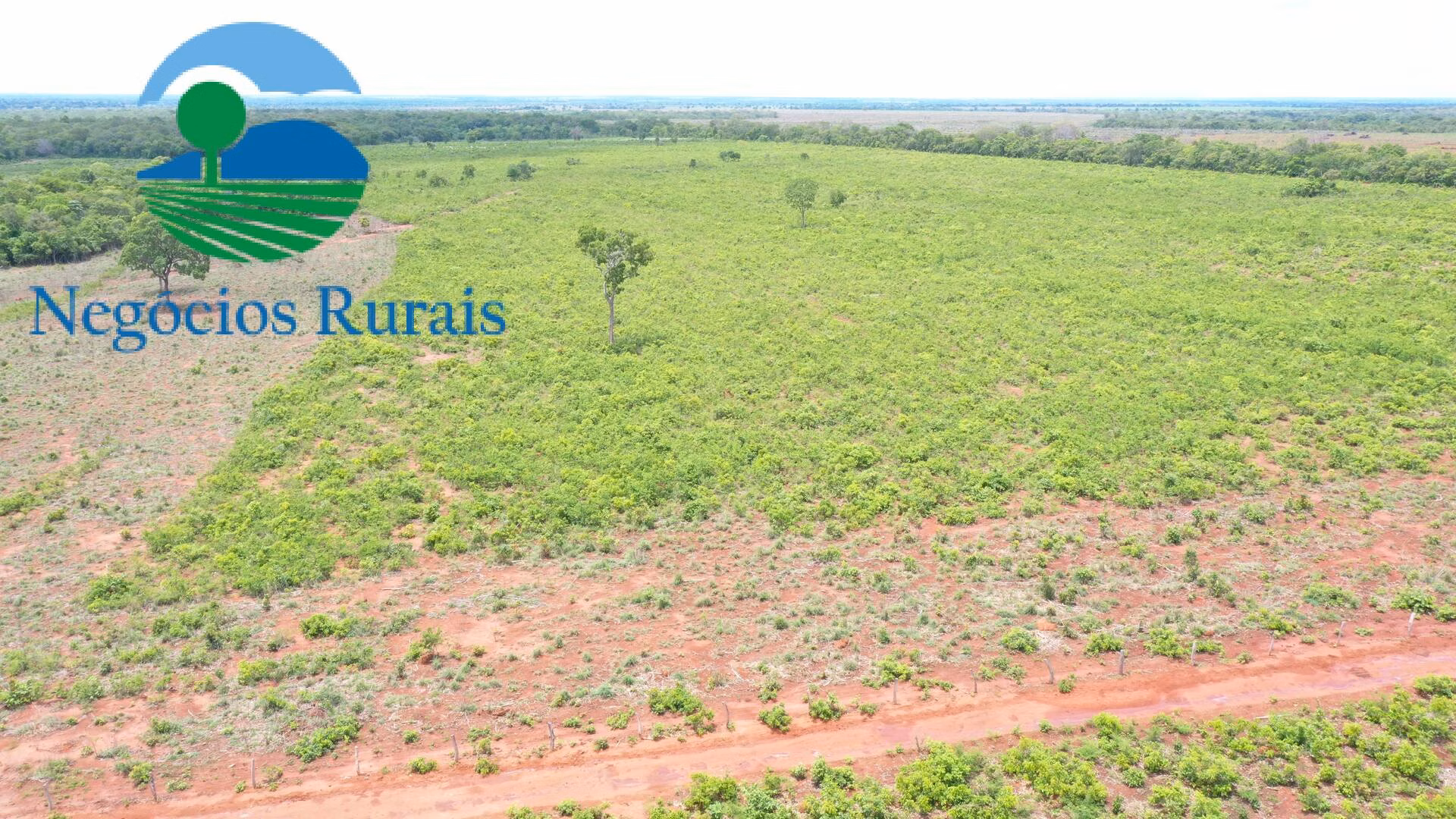 Farm of 1,554 acres in Jaú do Tocantins, TO, Brazil