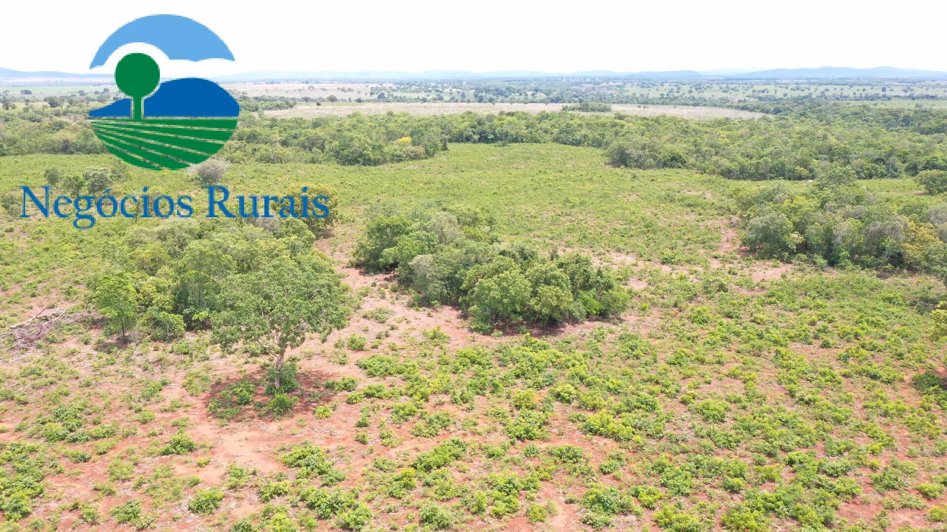 Farm of 1,554 acres in Jaú do Tocantins, TO, Brazil