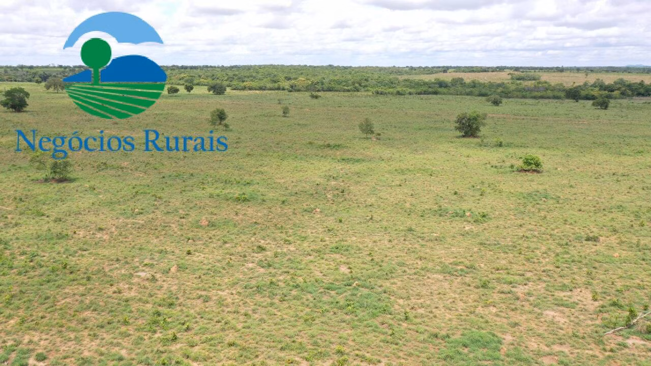 Farm of 1,554 acres in Jaú do Tocantins, TO, Brazil