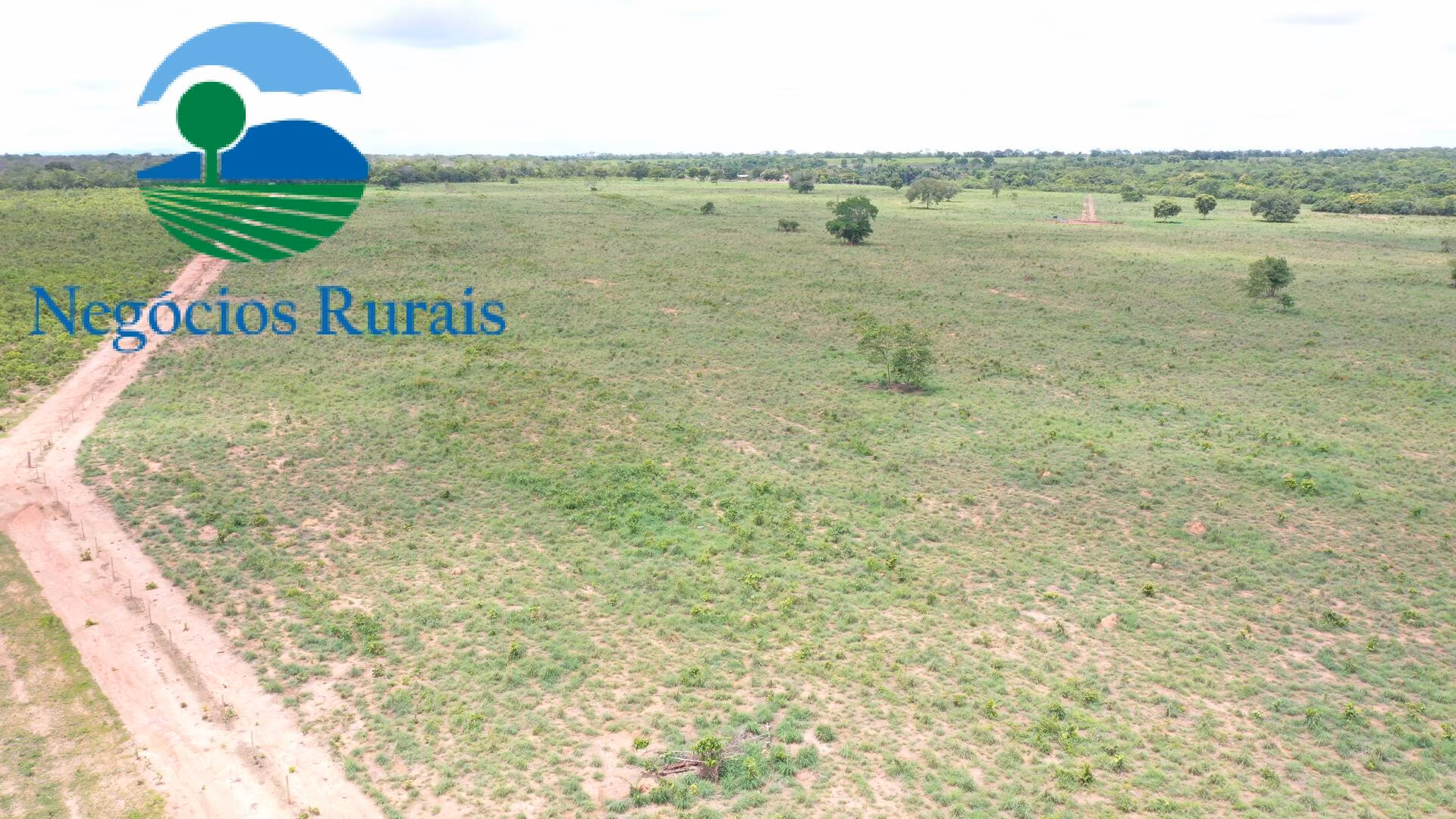 Farm of 1,554 acres in Jaú do Tocantins, TO, Brazil