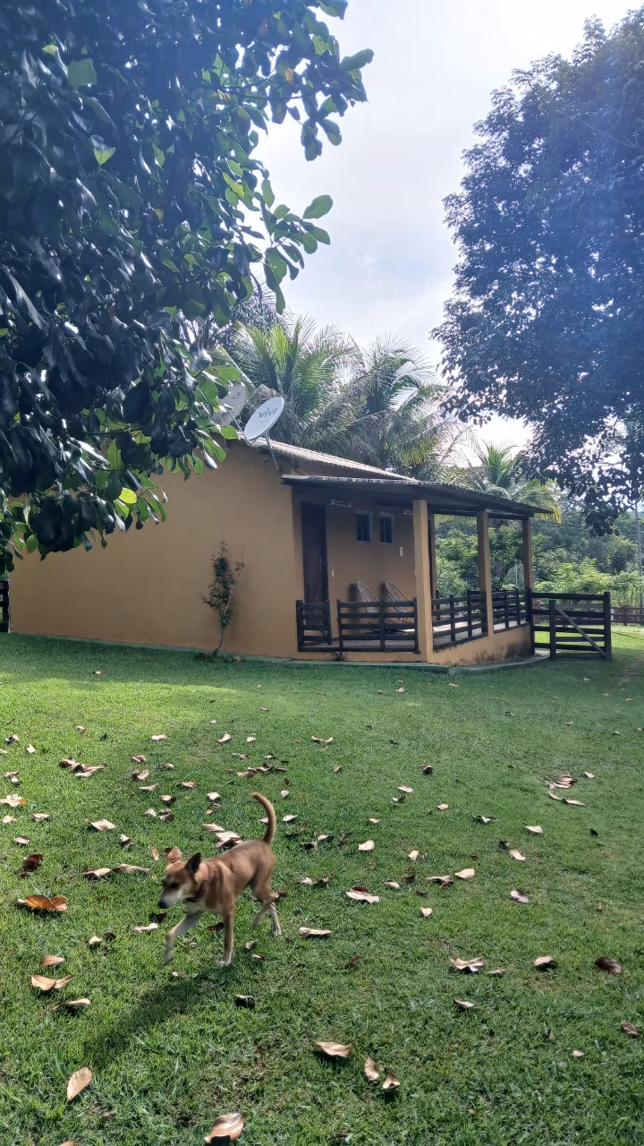 Fazenda à venda de 87 ha em Luziânia, GO