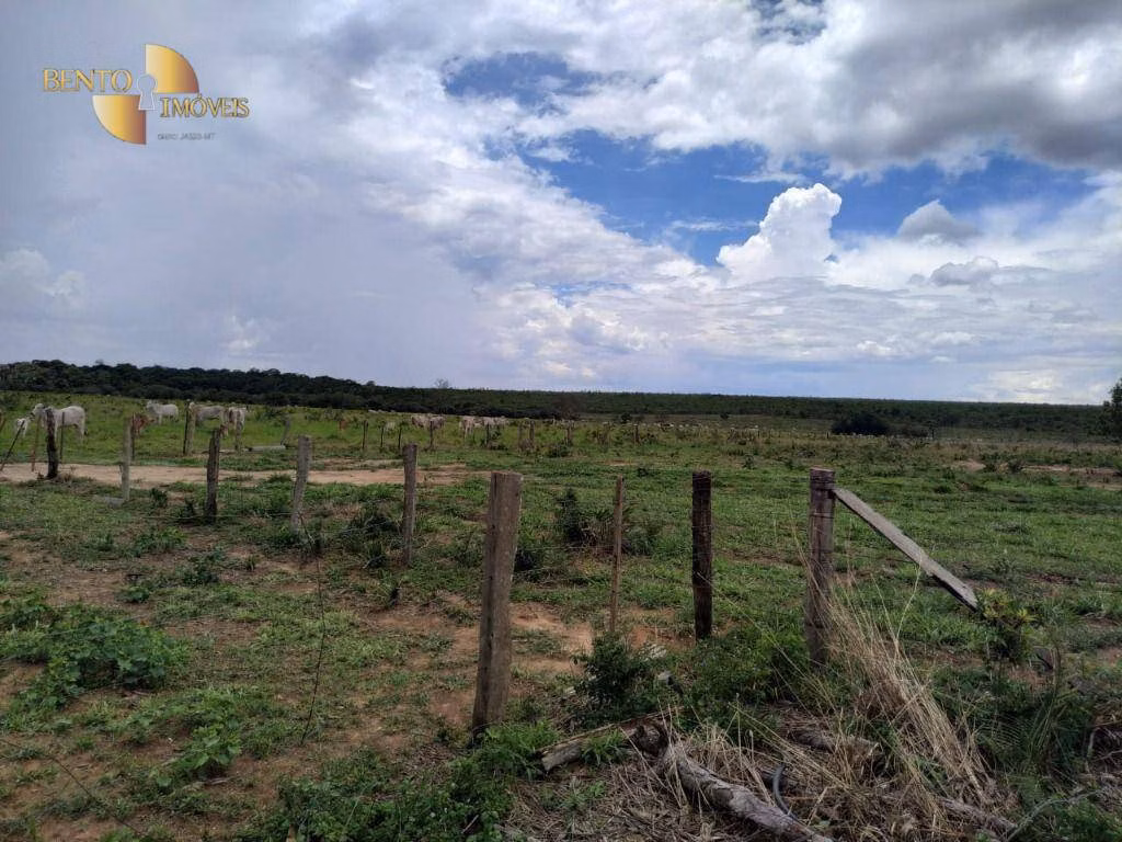 Fazenda de 1.250 ha em Diamantino, MT