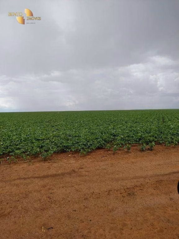 Fazenda de 1.250 ha em Diamantino, MT