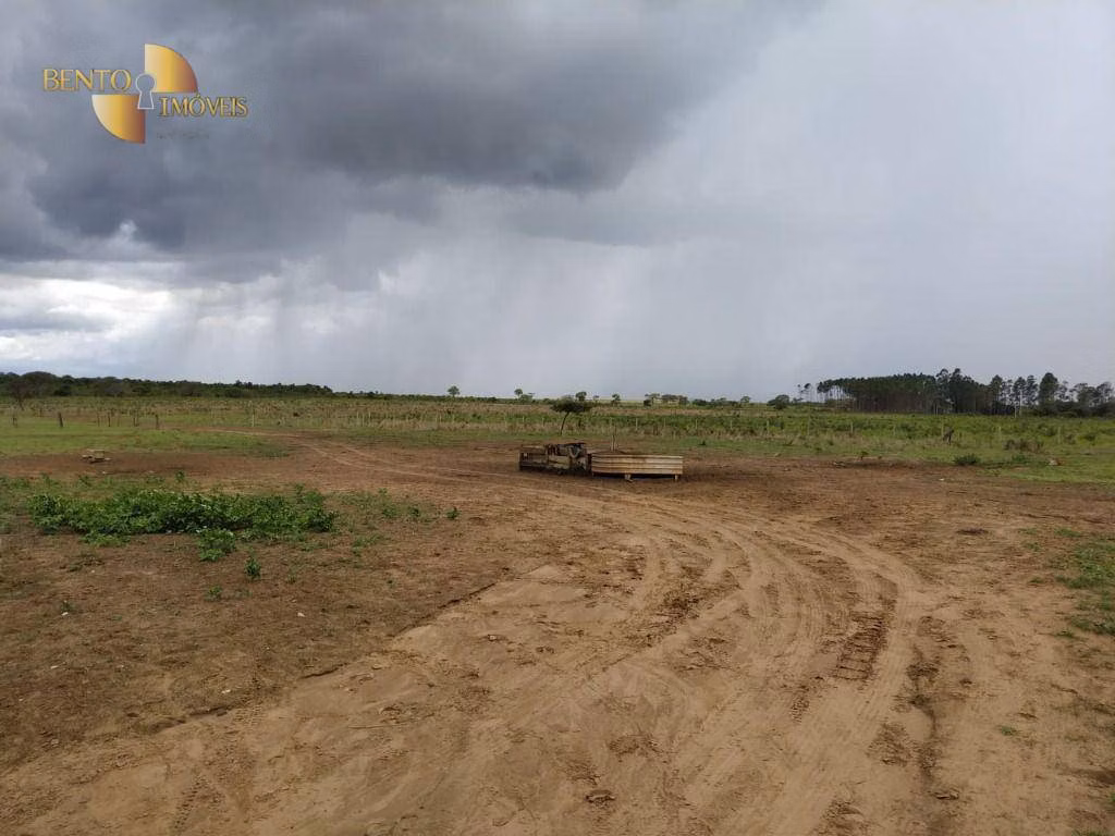 Fazenda de 1.250 ha em Diamantino, MT