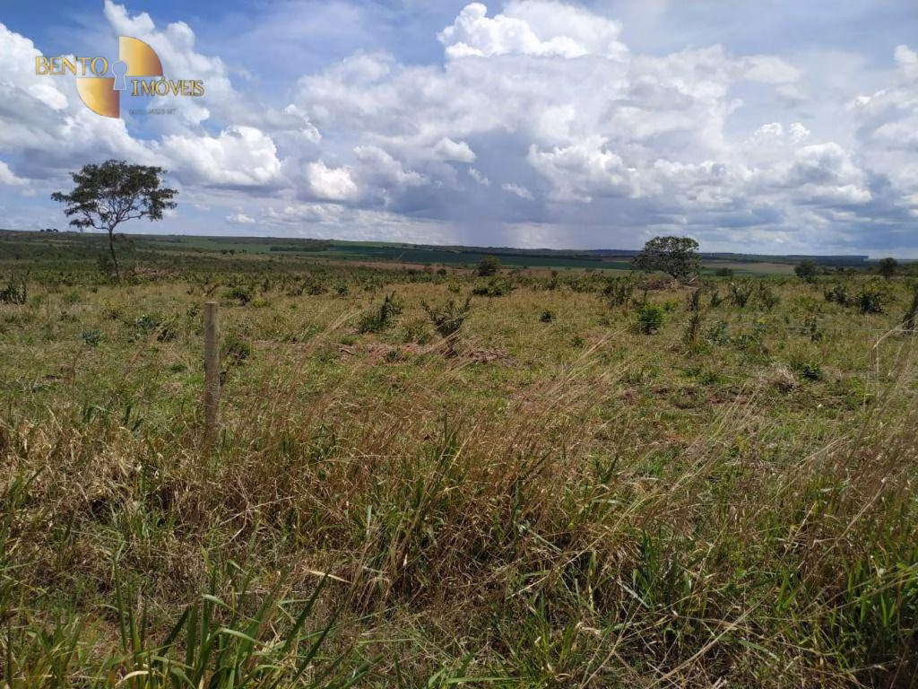 Fazenda de 1.250 ha em Diamantino, MT