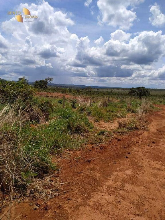 Fazenda de 1.250 ha em Diamantino, MT