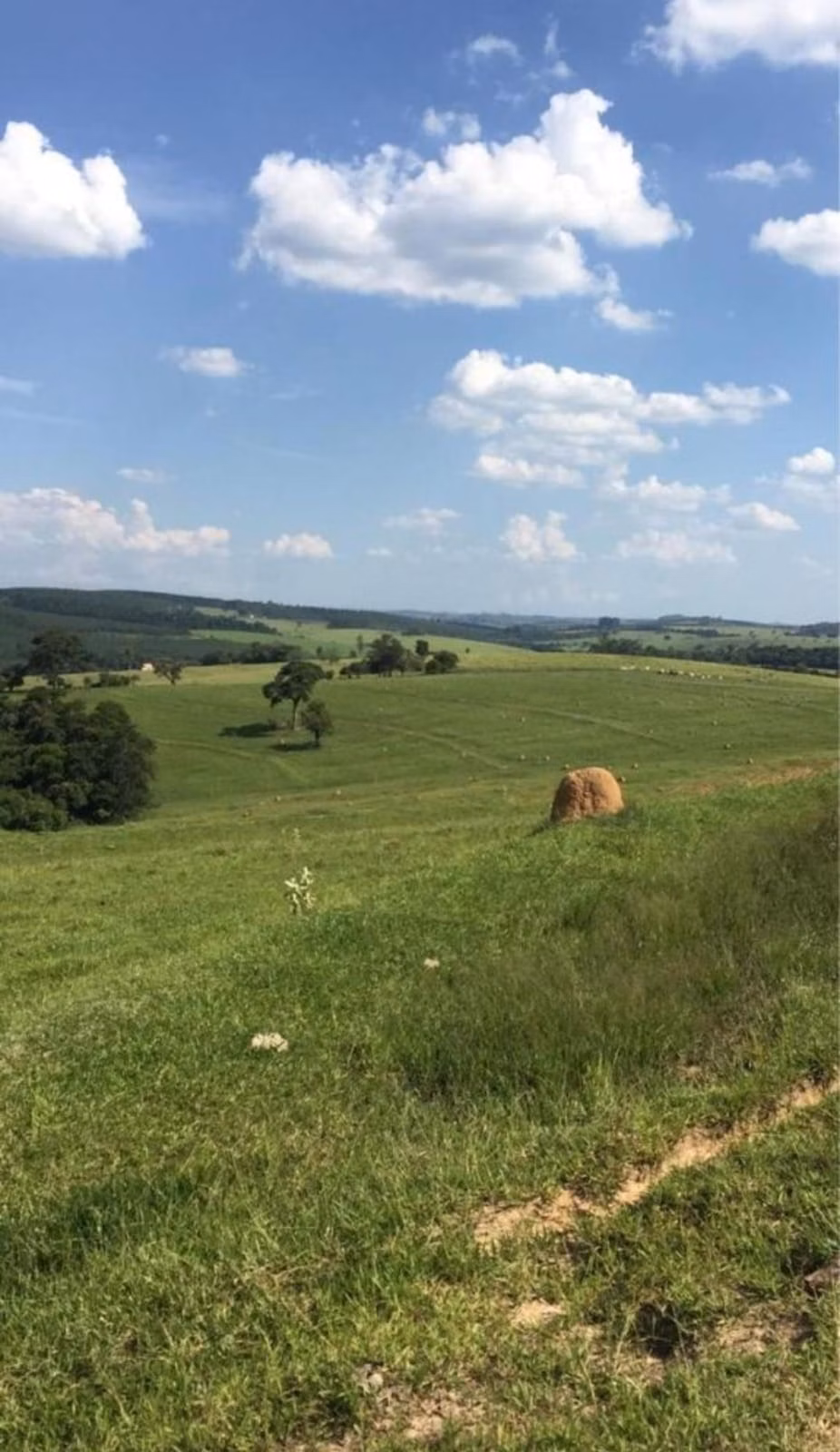 Fazenda de 211 ha em Alambari, SP