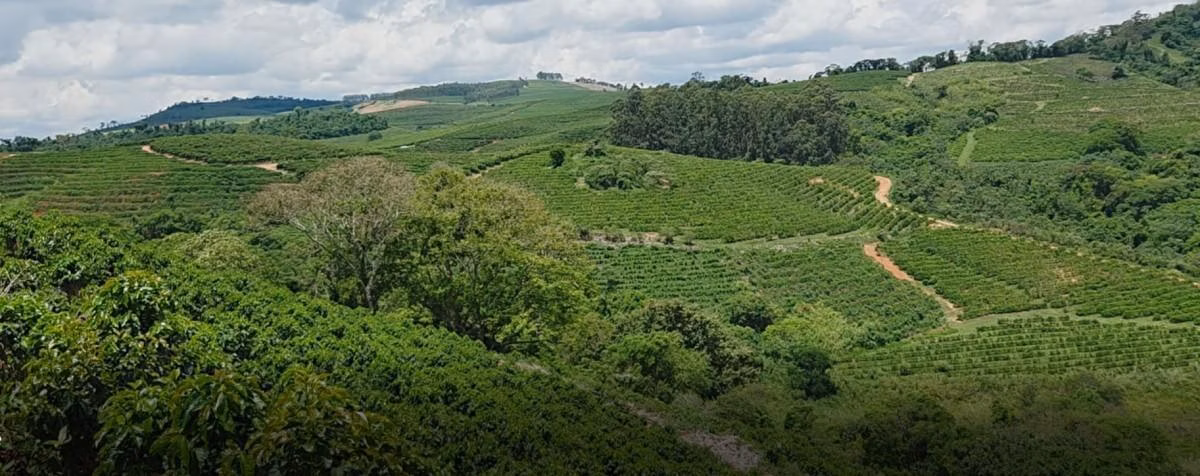 Fazenda à venda de 2.080 ha em Caconde, SP