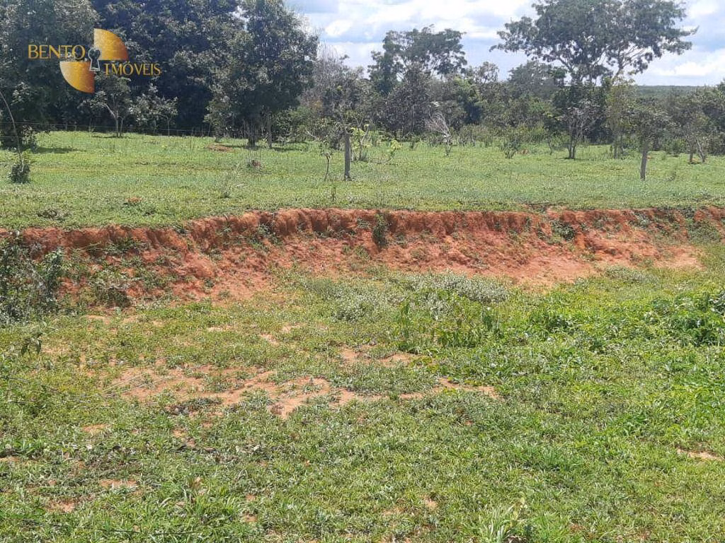 Farm of 3,657 acres in Paranatinga, MT, Brazil