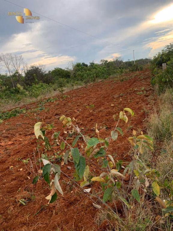 Farm of 3,657 acres in Paranatinga, MT, Brazil