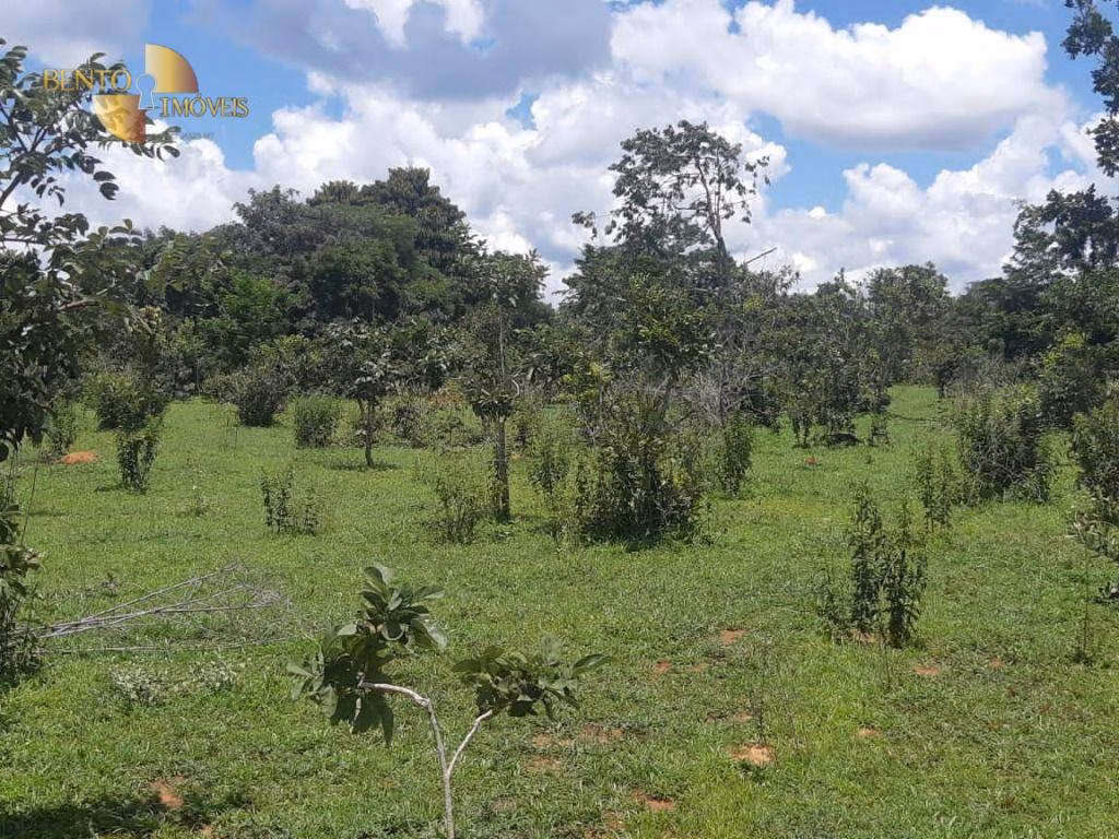 Farm of 3,657 acres in Paranatinga, MT, Brazil