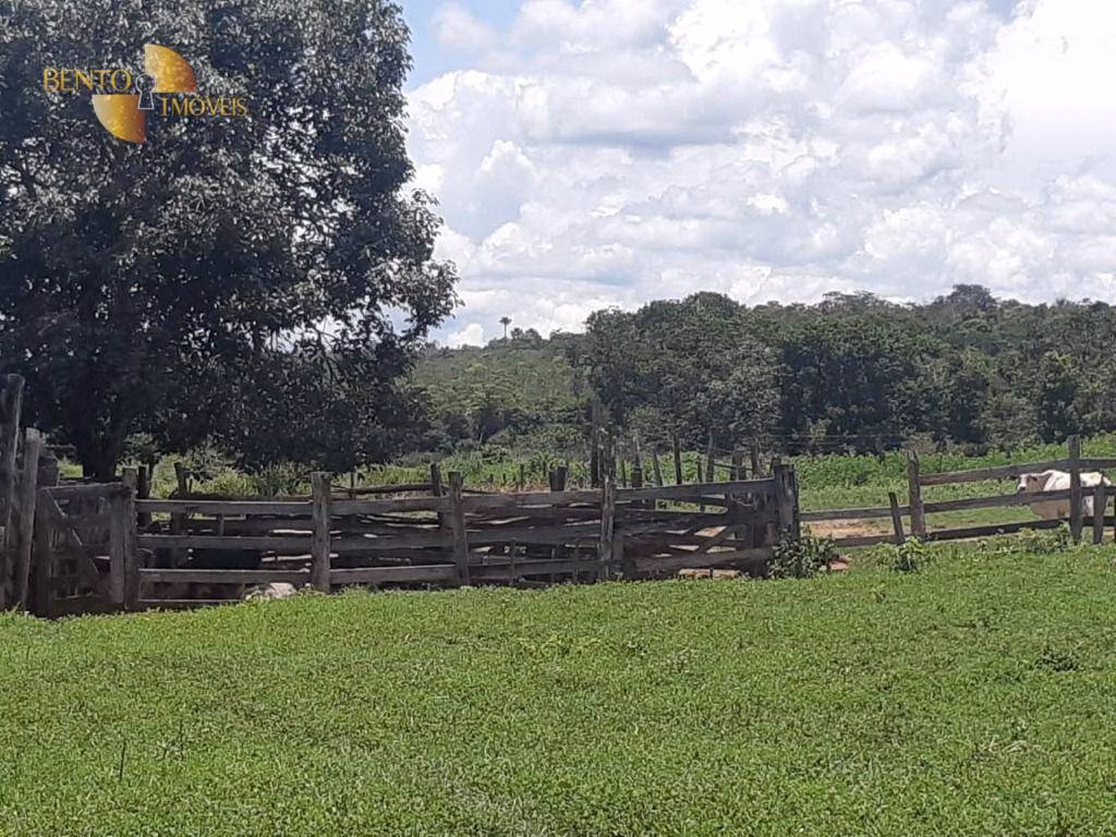 Farm of 3,657 acres in Paranatinga, MT, Brazil