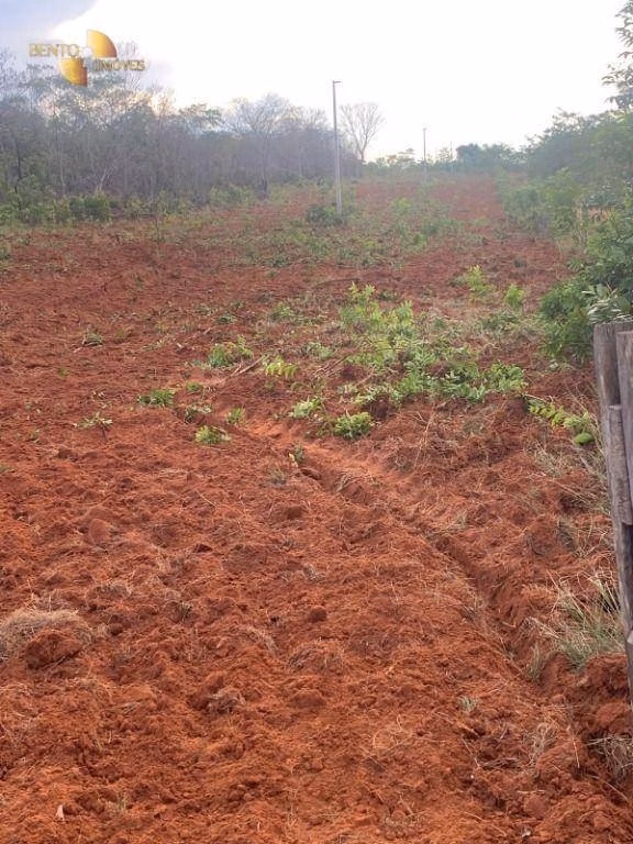 Farm of 3,657 acres in Paranatinga, MT, Brazil