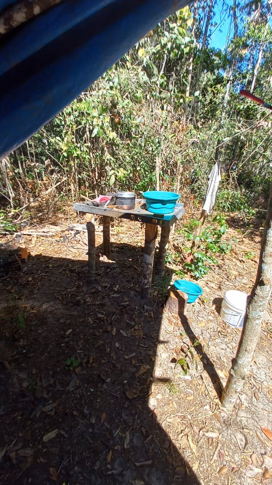 Fazenda de 942 ha em Tesouro, MT