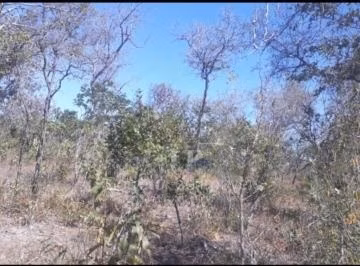 Fazenda de 2.530 ha em Cotegipe, BA