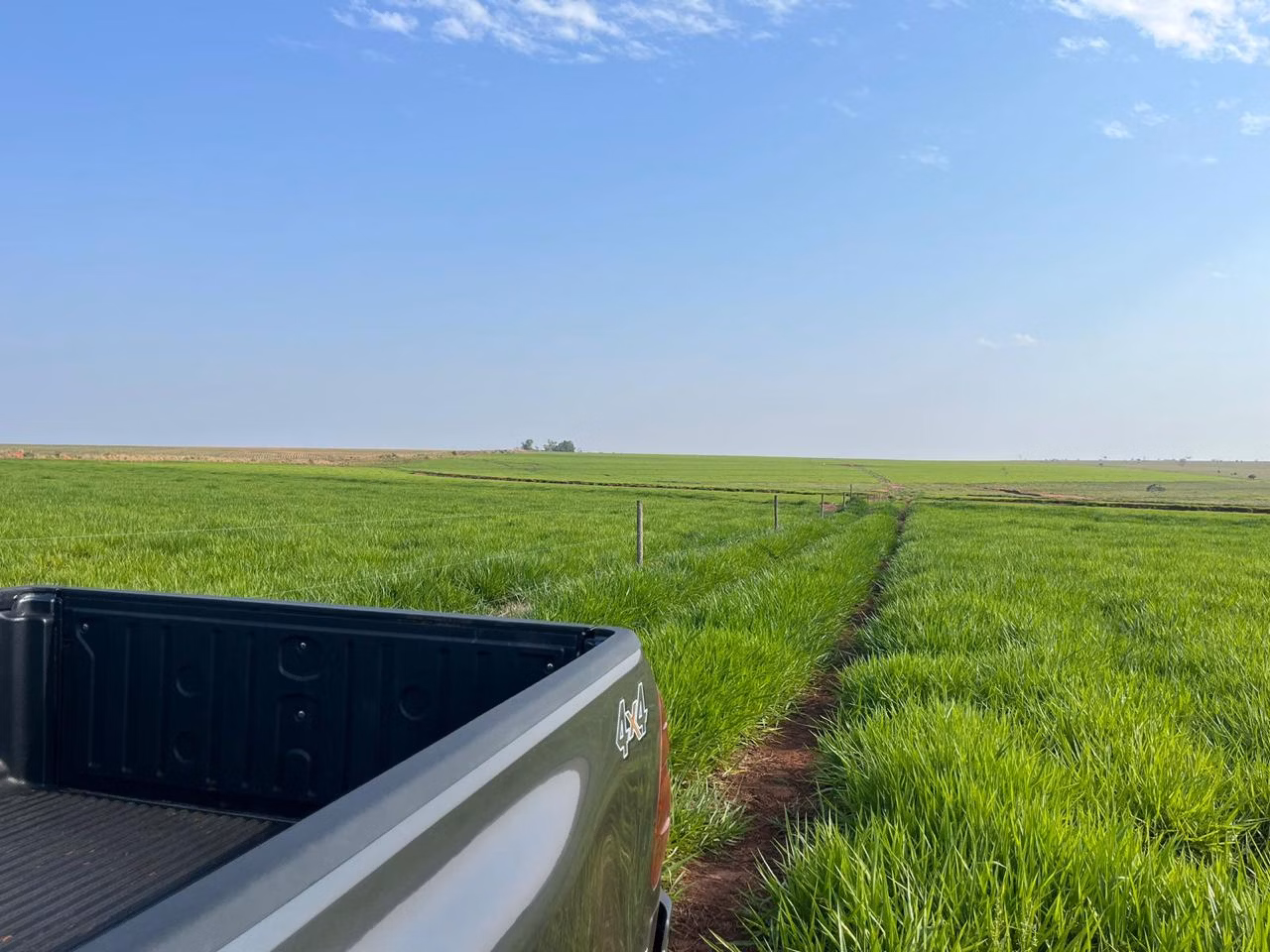 Farm of 3.588 acres in Paraíso das Águas, MS, Brazil