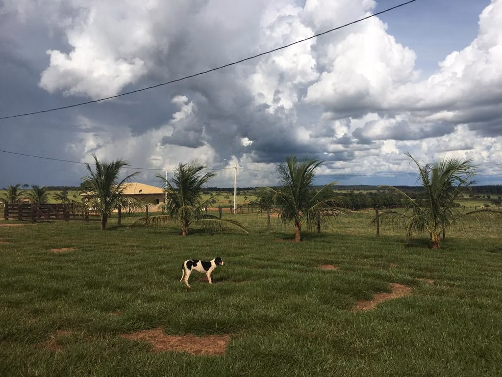 Farm of 3.588 acres in Paraíso das Águas, MS, Brazil