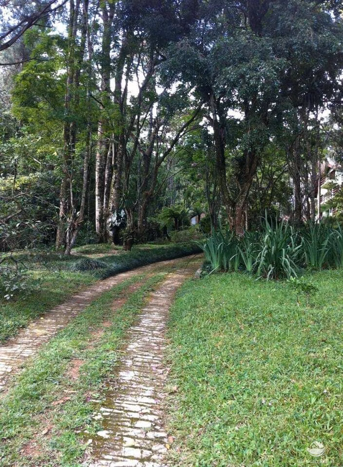 Sítio de 45 ha em Santo Antônio do Pinhal, SP