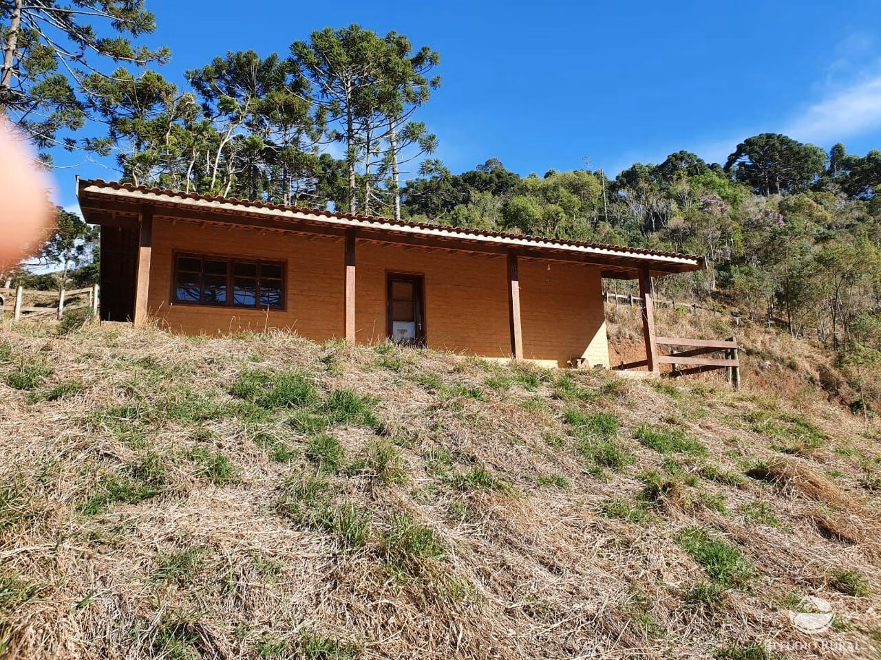 Sítio de 45 ha em Santo Antônio do Pinhal, SP