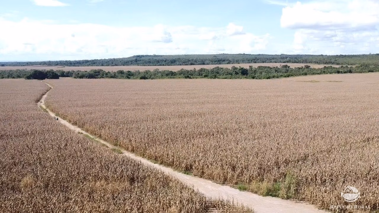 Fazenda de 7.300 ha em Balsas, MA