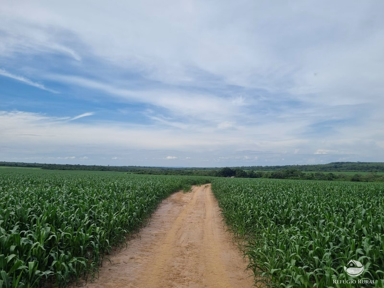 Fazenda de 7.300 ha em Balsas, MA