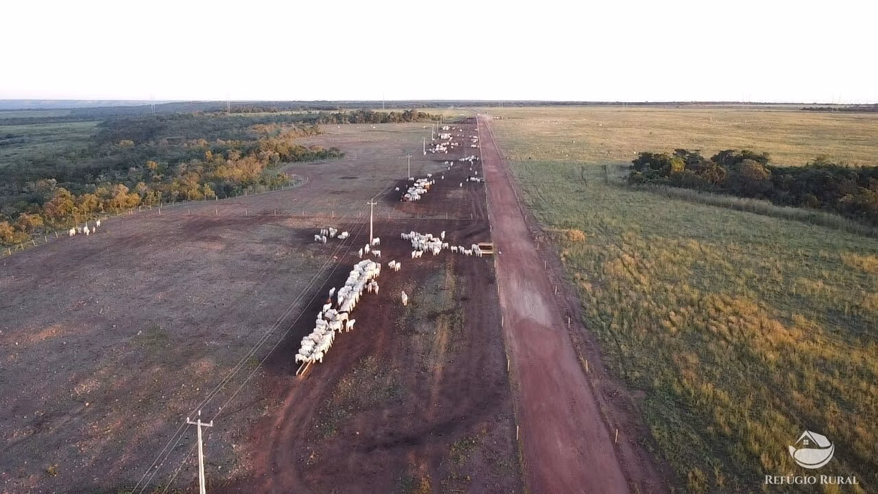 Fazenda de 7.300 ha em Balsas, MA