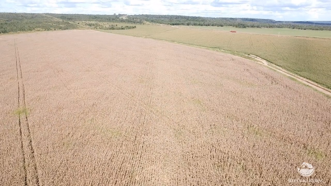Fazenda de 7.300 ha em Balsas, MA