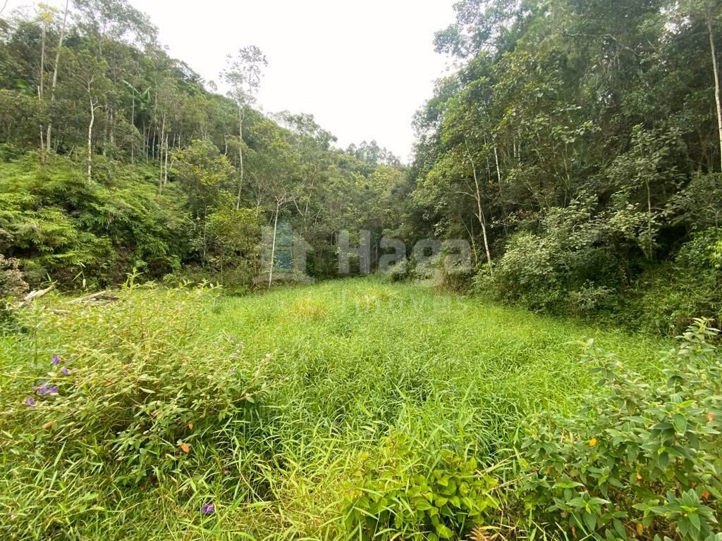 Country home of 7 acres in Nova Trento, SC, Brazil
