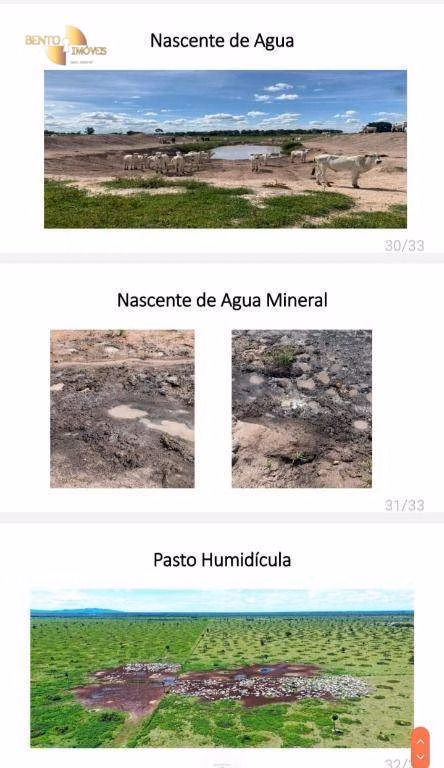 Fazenda de 10.593 ha em Pontes e Lacerda, MT