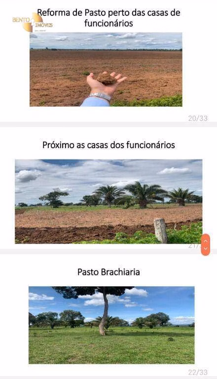Fazenda de 10.593 ha em Pontes e Lacerda, MT