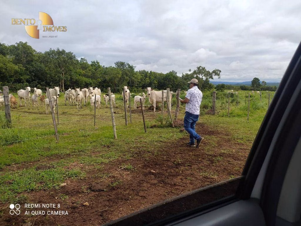 Fazenda de 438 ha em Acorizal, MT