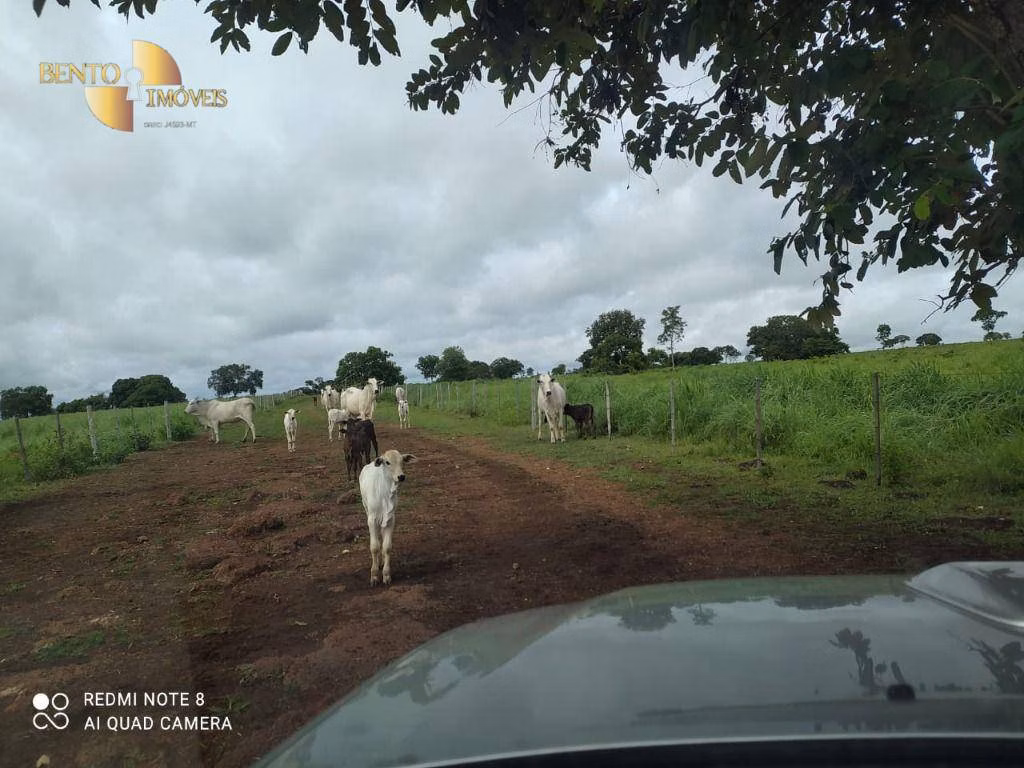 Fazenda de 438 ha em Acorizal, MT