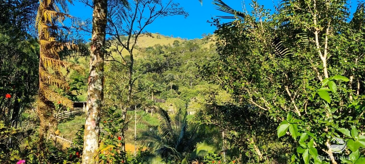 Small farm of 52 acres in São José dos Campos, SP, Brazil